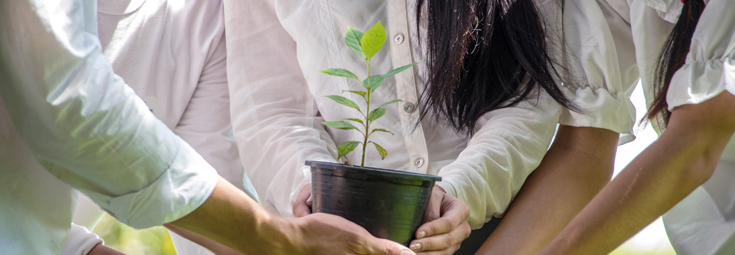 Responsabilité sociétale de l'entreprise Responsabilité sociétale de l'entreprise